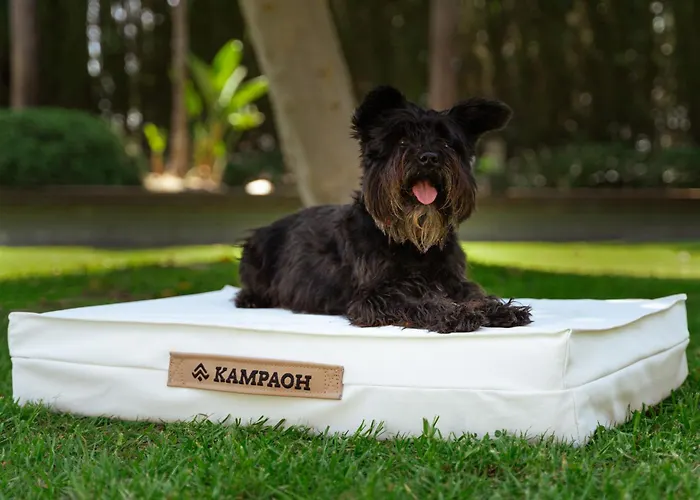 캠프장 Kampaoh 코르도바